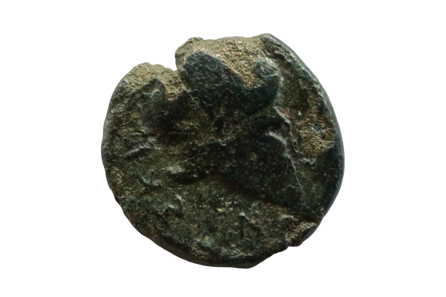 Macedon, Skione - 400-350 BCE; Æ 19 . - Image 2