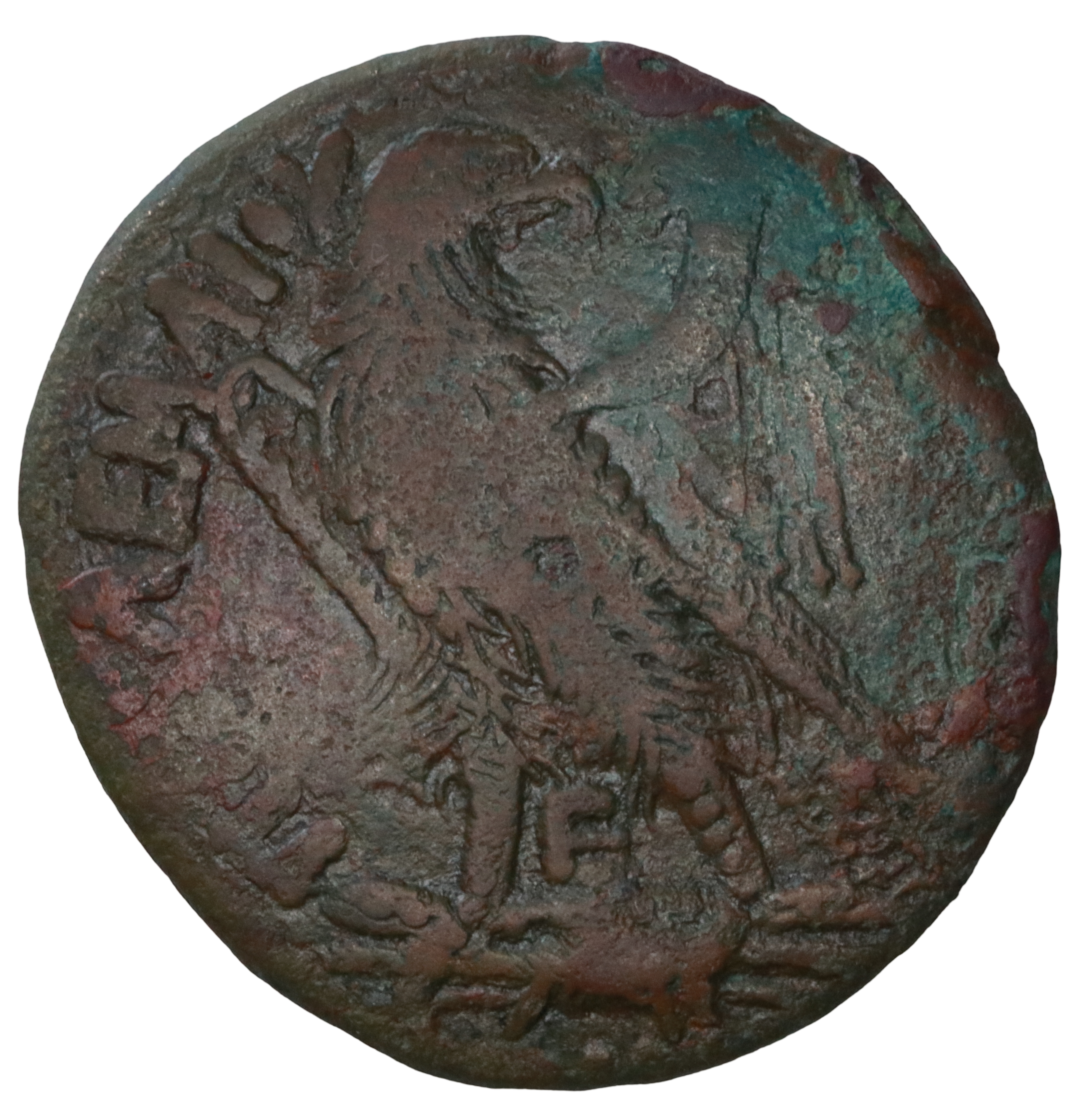 Ptolemy III (Euergetes) 246 – 222 BCE; Æ Tetrobol – Alexandria - Image 2