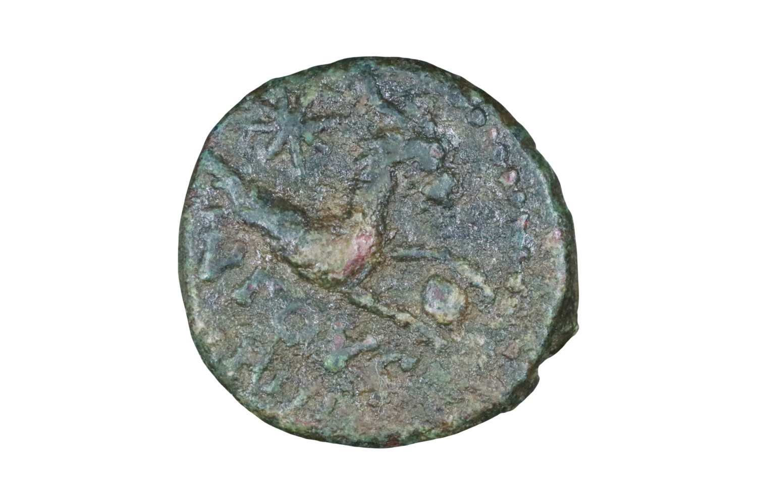 Julia Augusta (Livia) 27 BCE-14 CE; Æ 14 - Augusta (Cilicia). - Image 2