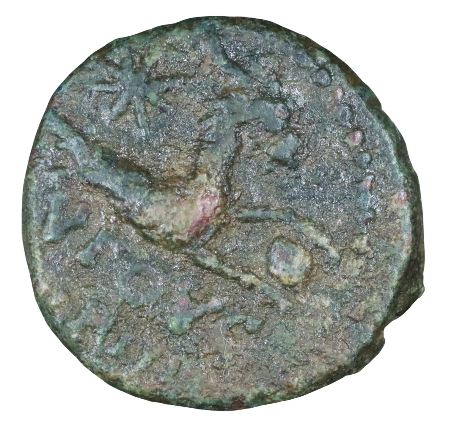 Julia Augusta (Livia) 27 BCE-14 CE; Æ 14 - Augusta (Cilicia). - Image 2