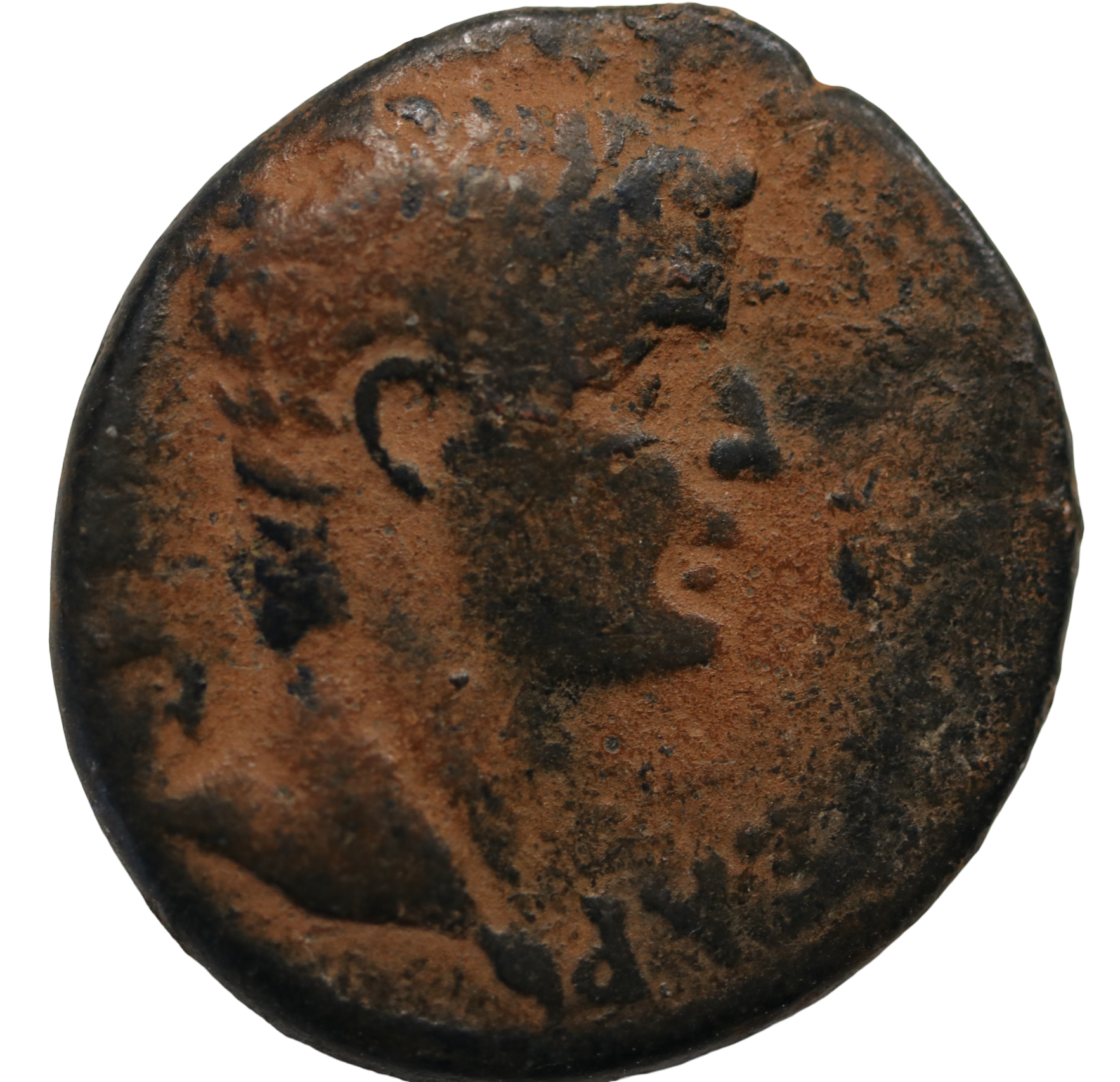Tiberius 14-37 CE;  Æ Assarius/Æ 29  - Seleucis and Pieria, Antioch.
